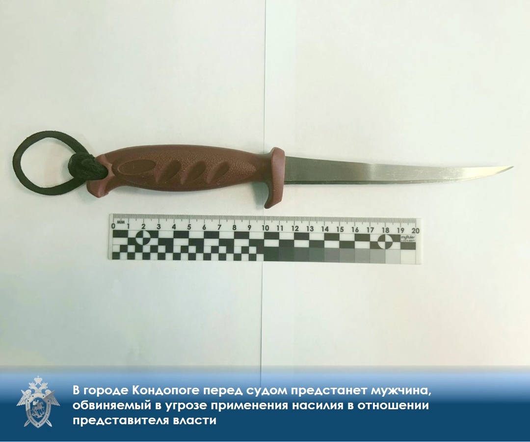 Злостный алиментщик из Кондопоги пойдет под суд за угрозы ножом судебному приставу