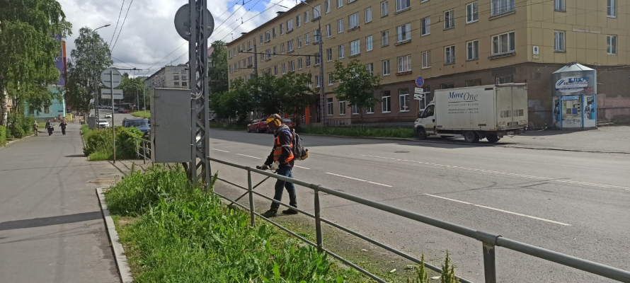 «Служба заказчика» выявила 57 нарушений правил содержания домов и дворов в Петрозаводске