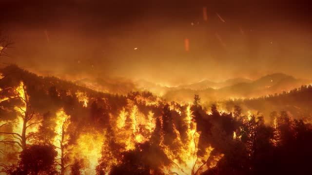 Сорок спасателей Карелии отправятся в Забайкалье тушить крупный пожар