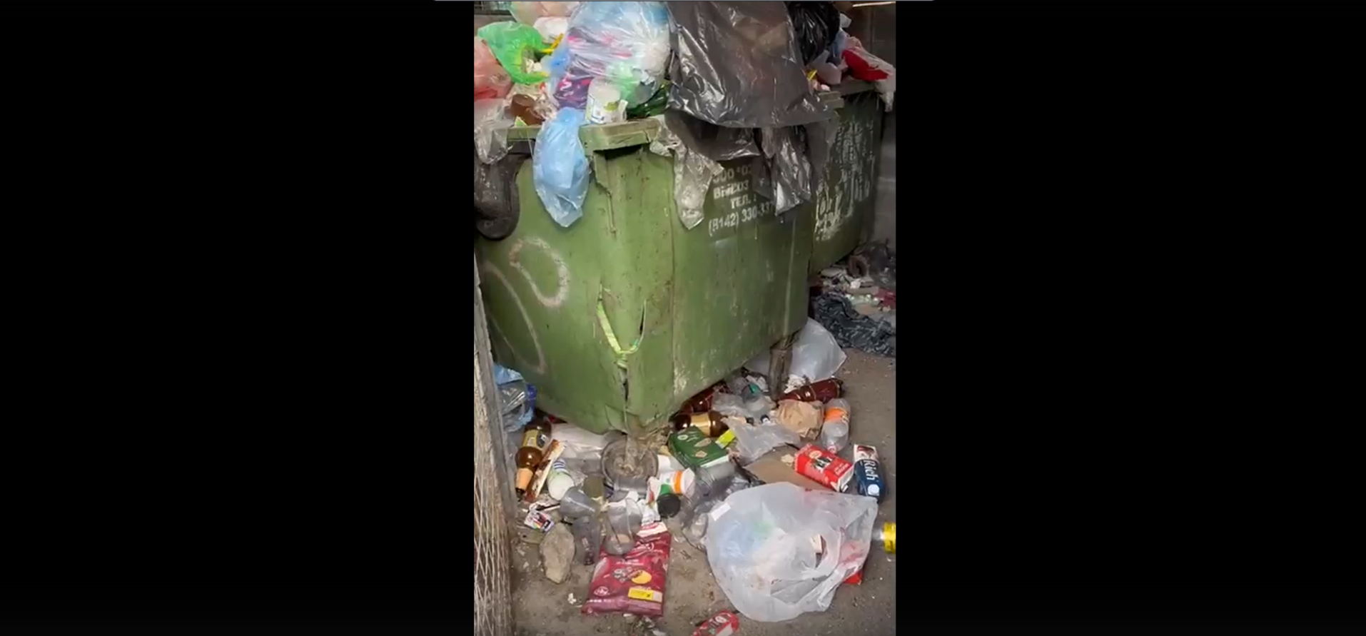 Отходы в мусорном контейнере гниют на жаре целый месяц в одном из дворов в центре Петрозаводска