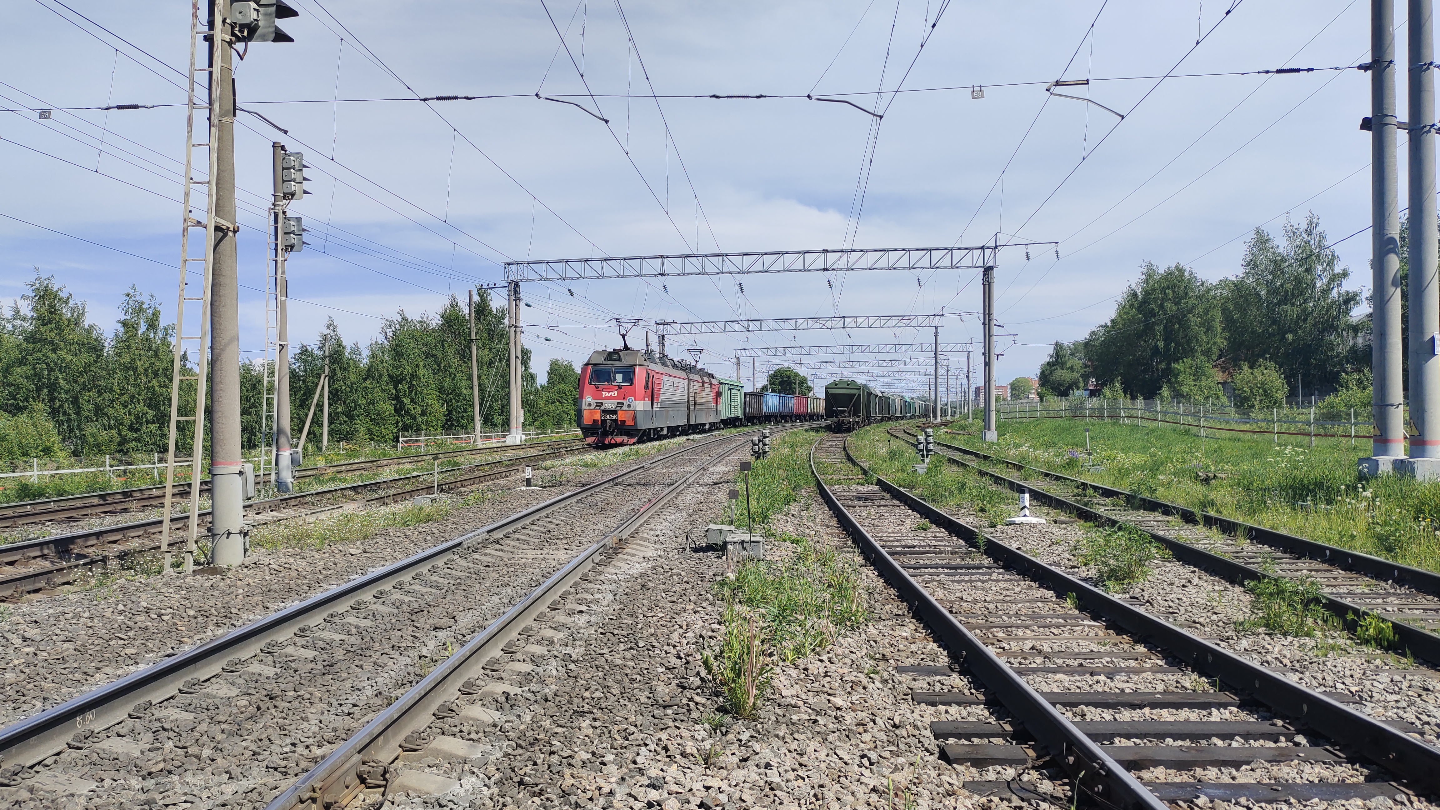 Поезд из Петрозаводска на юг задержали из-за упавшего дерева