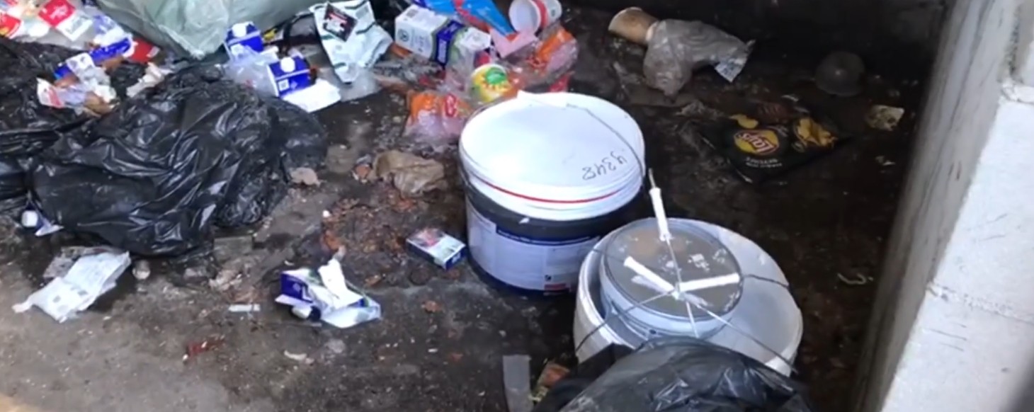 Прыгающие на людей крысы и чайки, разносящие мусор: жители улицы Пробной просят организовать уборку на контейнерной площадке