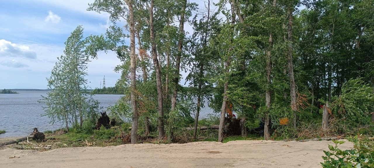 Пилить нельзя оставить: жители северного города в Карелии обеспокоены вырубкой деревьев в живописном месте