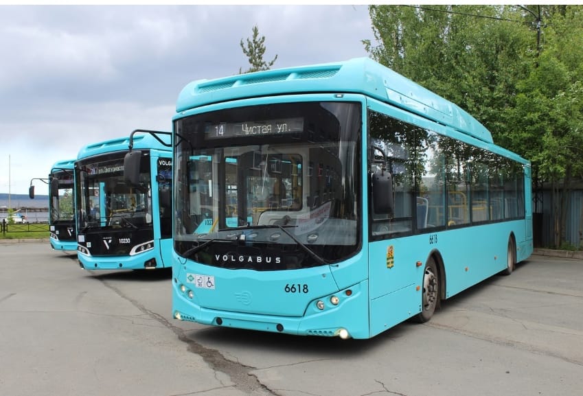 Лазурные автобусы готовы вернуться в столицу Карелии
