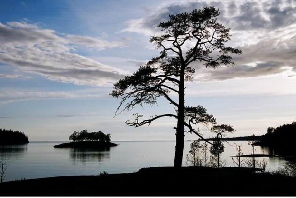 «Панское озеро» и «Девичий остров»: карельские топонимы с историей-легендой увлекают людей
