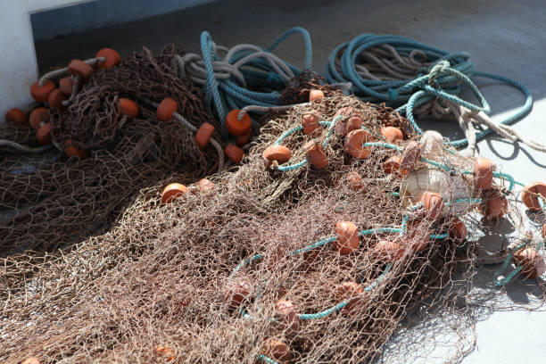 Более 109 килограммов незаконной рыбы, 8 уголовных дел и 81 штраф с конфискацией «выловили» браконьеры в Карелии