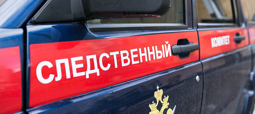 Бастрыкин проконтролирует  обстоятельства травмирования малолетних от наезда электросамоката в Петрозаводске