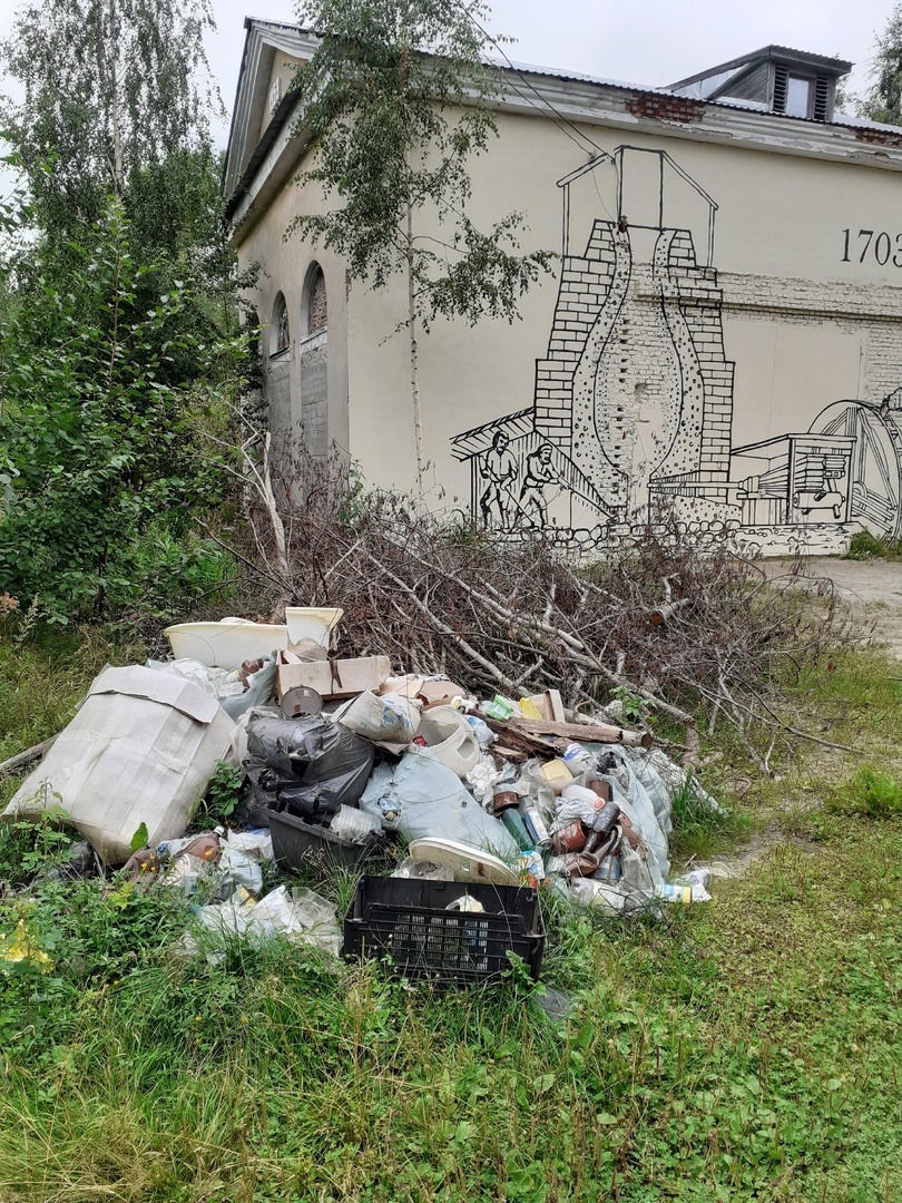  Стыдно перед туристами, все фотографировали помойку: В Медвежьегорском районе устроили крупную свалку 