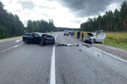 Опубликовано видео с места лобовой аварии в Карелии, где пострадал ребенок