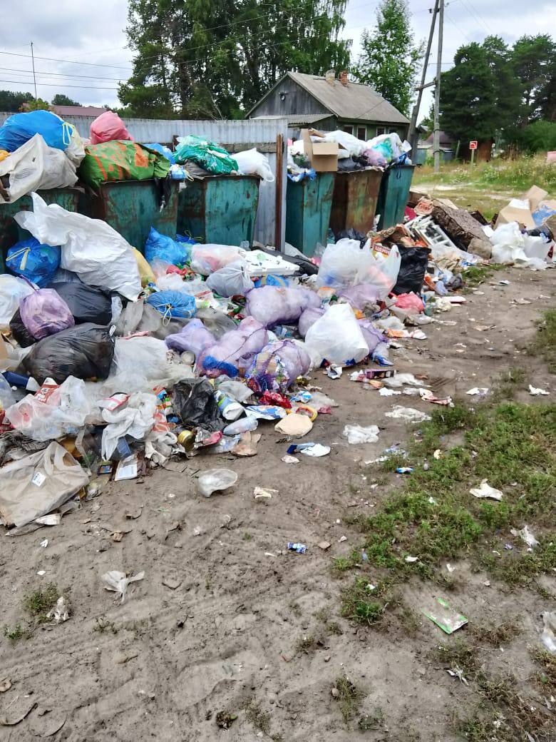 Мусора по колено: Глава Медвежьегорского района объяснила, почему переполнены мусорные контейнеры
