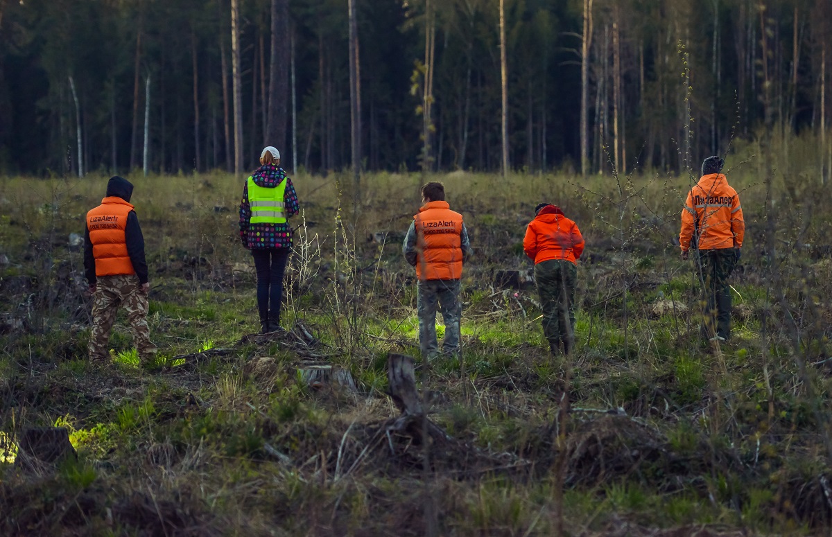 Карельские спасатели помогли выйти из леса двум группам заплутавших грибников
