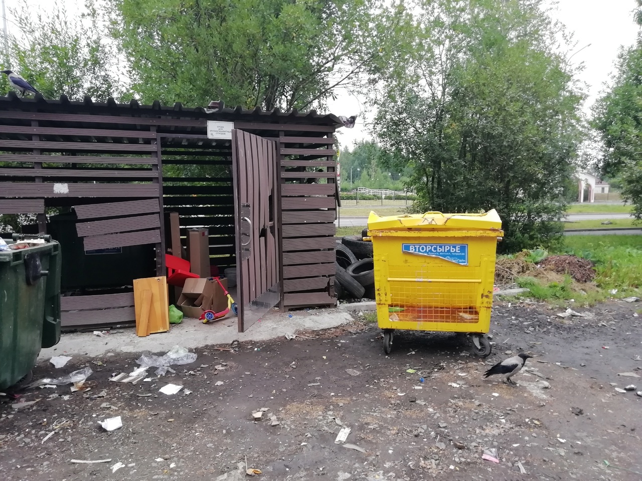 В экологичность не годитесь: жительница Петрозаводска затронула тему вывоза вторсырья