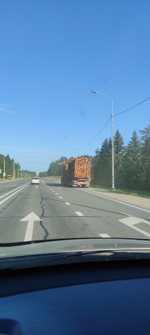 Бревно в полете с лесовоза насторожило водителей  под Петрозаводском