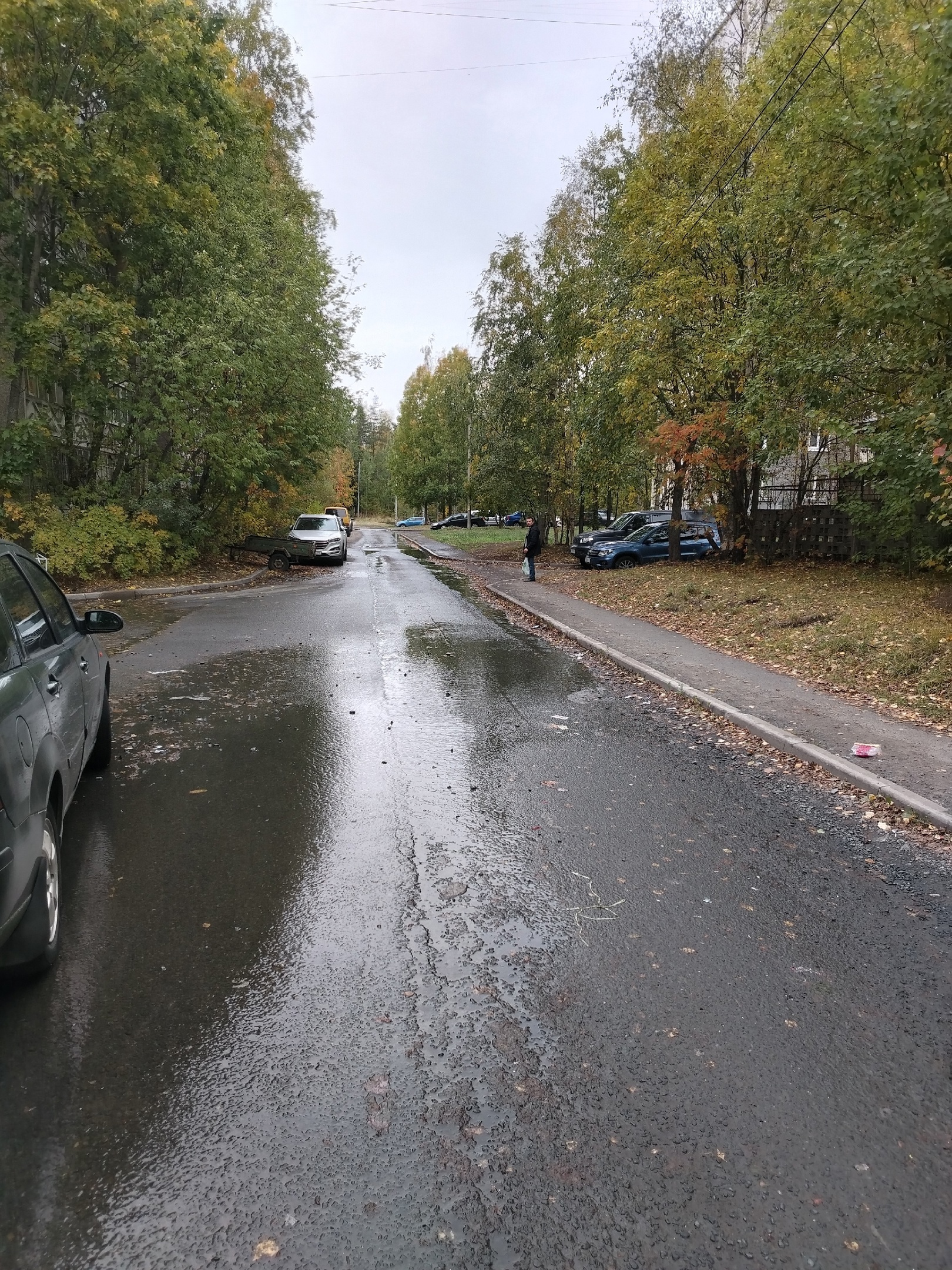 «Сыктывкарка»: петрозаводчане пожаловались на потоки воды в густонаселенном районе города