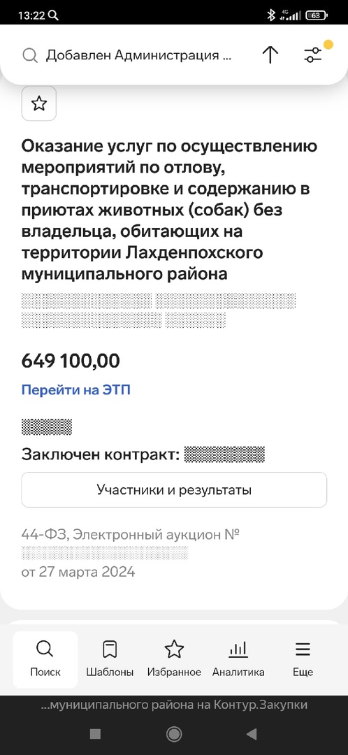 «В нашем прекрасном городе нет бродячих животных»: жители Лахденпохьи иронизируют в соцсети 