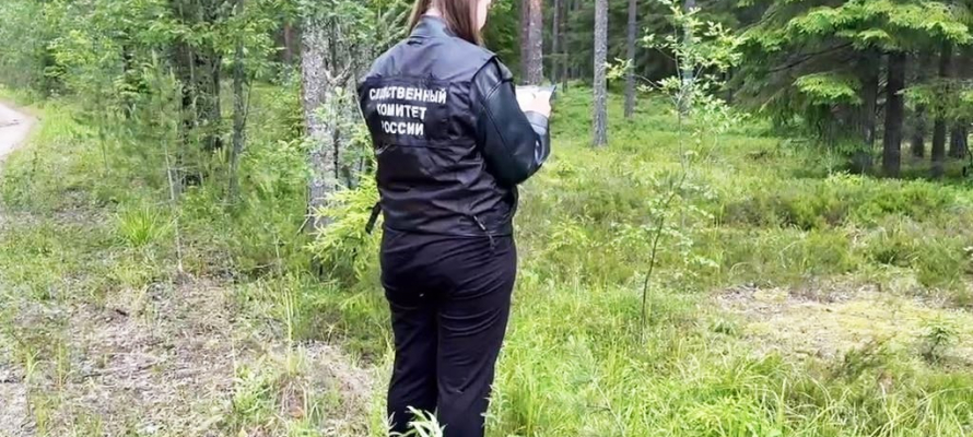 Стало известно, где нашли тело пропавшего в Карелии пенсионера