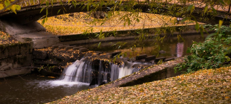 Потепление до +10°С ожидается в Карелии 6 ноября