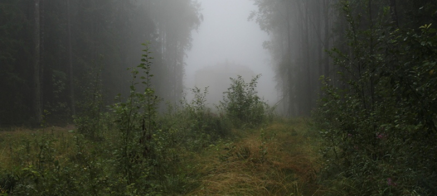 Задержан мужчина, напавший на девушку в одном из парков Петрозаводска