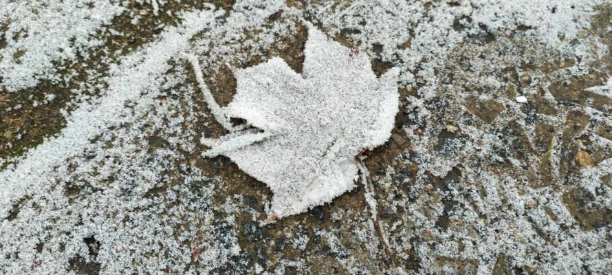 Мокрый снег обещают в Карелии 9 ноября