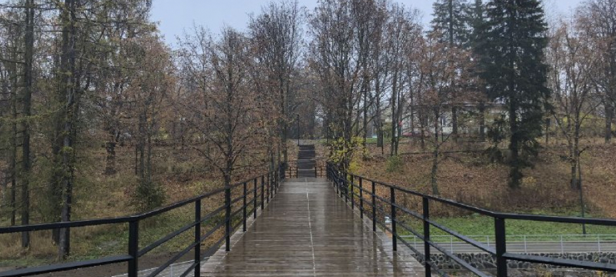 Дожди и потепление до +9°С вернутся в Карелию 13 ноября