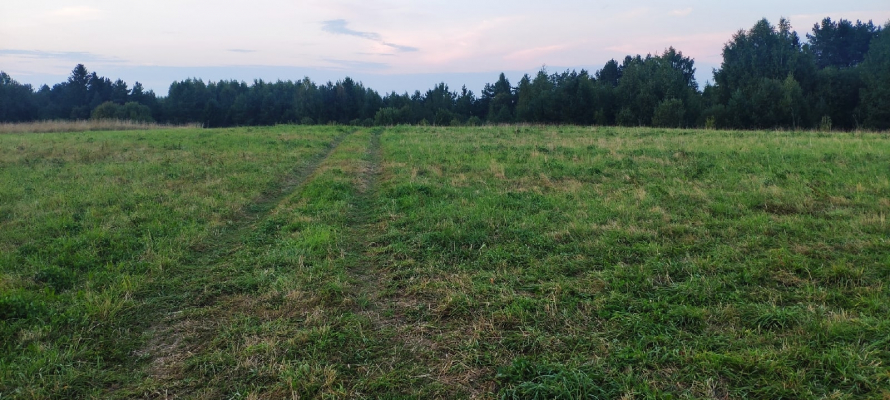 Многодетным семьям в Карелии выдали земельные участки, к которым отсутствуют подъездные дороги