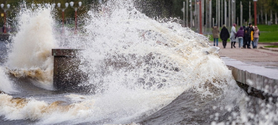 В МЧС Карелии предупредили о сильном ветре