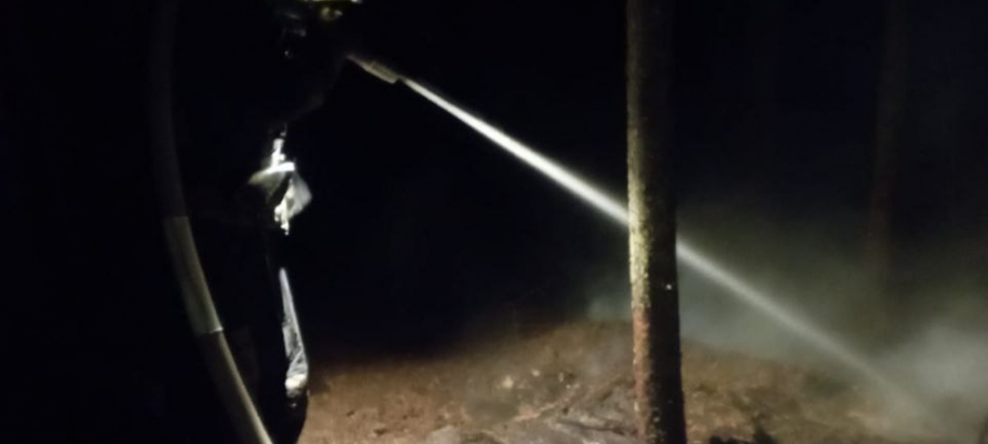 Лес загорелся в Прионежском районе