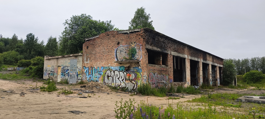 Александр Бастрыкин потребовал повторный доклад по делу об ударе током подростка в Карелии