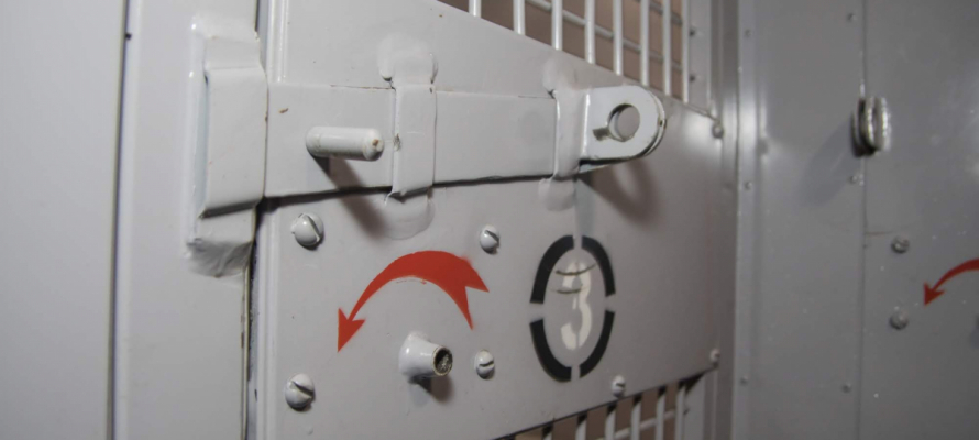 Житель Петрозаводска, повторно судимый за вождение в пьяном виде, сам попросил отправить его в колонию