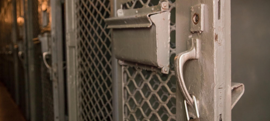 Петрозаводчанину грозит до 4 лет тюрьмы за грабеж водки в магазине