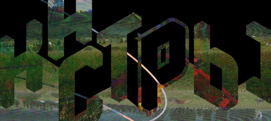 На сельхозземлях в Карелии провели фестиваль электронной музыки