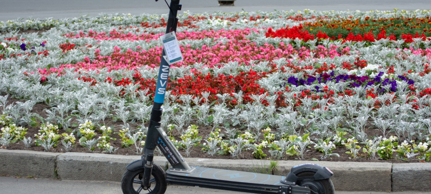 Минтранс России не считает нужным вводить права для электросамокатчиков