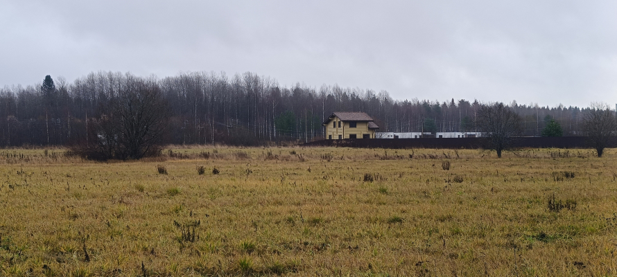 31 бесплатный участок получили в 2025 году карельские ветераны СВО