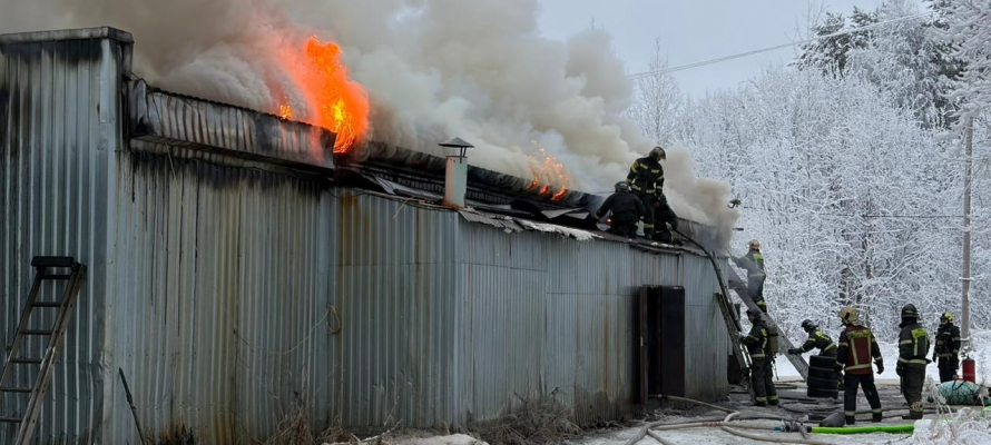 В Костомукше в страшном пожаре сгорели бар, пункты выдачи «Озон» и «Вайлдберрис»