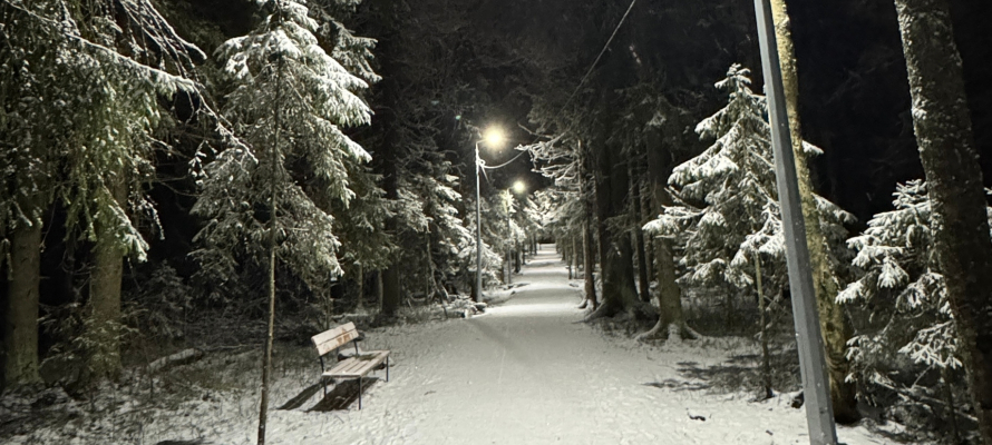 В Парке Защитников города на Кукковке вновь зажглись фонари