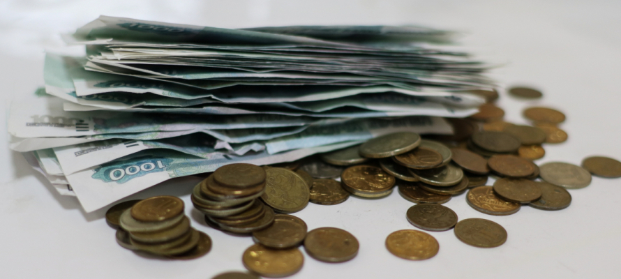 В Карелии предложили ввести пособия на продукты для беременных женщин