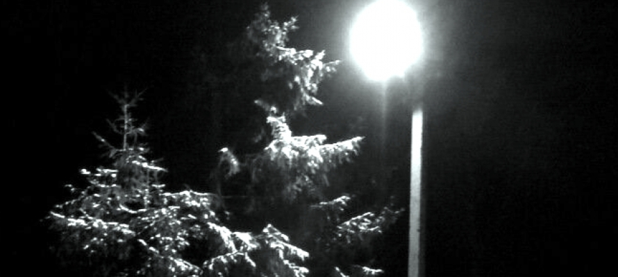 Более 20 новых светильников зажгутся в отдалённом районе Петрозаводска