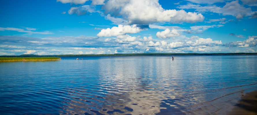 Известный предприниматель перекрыл путь к озеру в Карельской деревне
