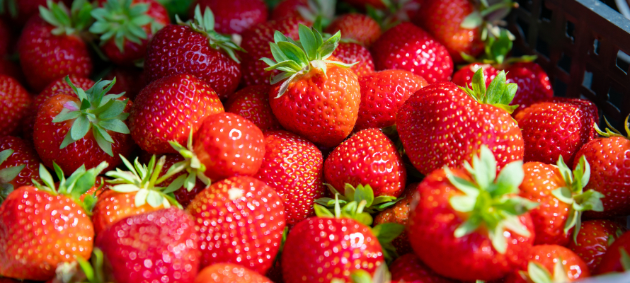 В Минсельхозе назвали самые ягодные районы Карелии