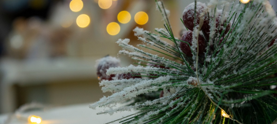 В Петрозаводске вновь собирают новогодние подарки для одиноких пожилых людей