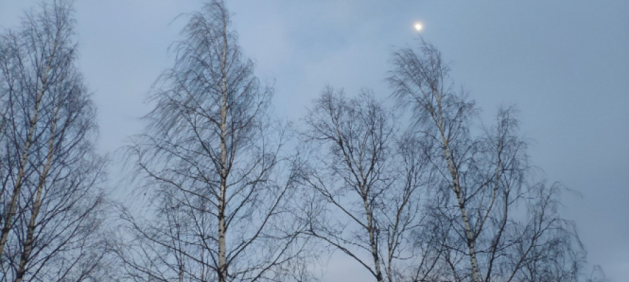 В Карелии сохранится сильный ветер