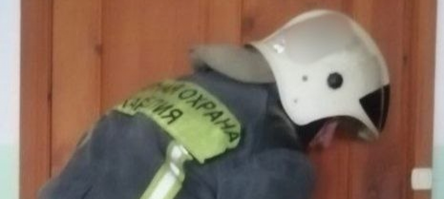 Пожарные спасли 88-летнюю женщину в карельском поселке Пиндуши