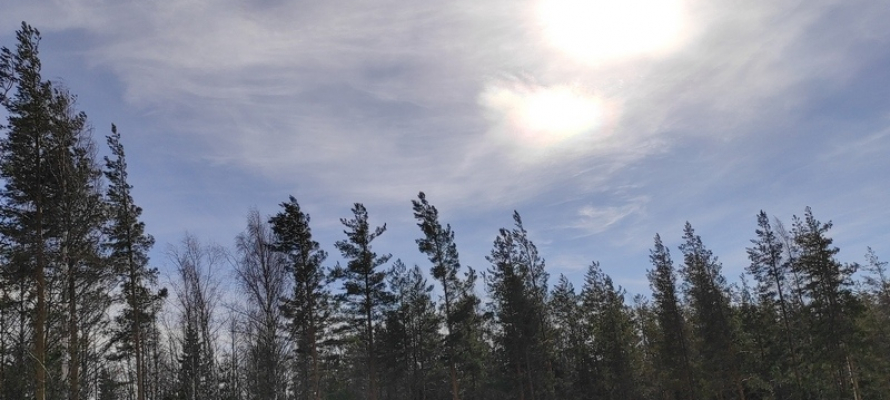 В Карелии объявлен желтый уровень погодной опасности