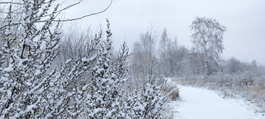 Северные районы Карелии 1 декабря ждут снегопады
