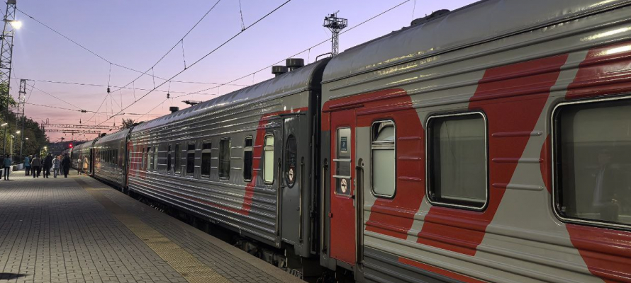 Двух пьяных дебоширов сняли с поездов на станциях в Кеми и Медвежьегорске