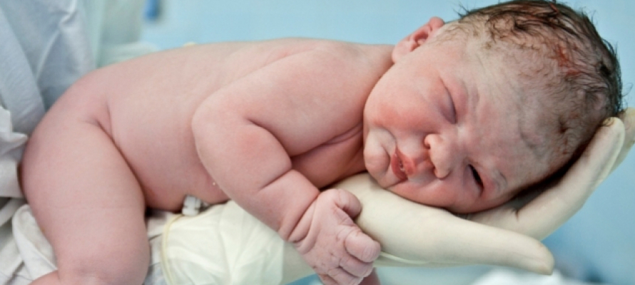 Почти 300 младенцев появились на свет в Петрозаводске