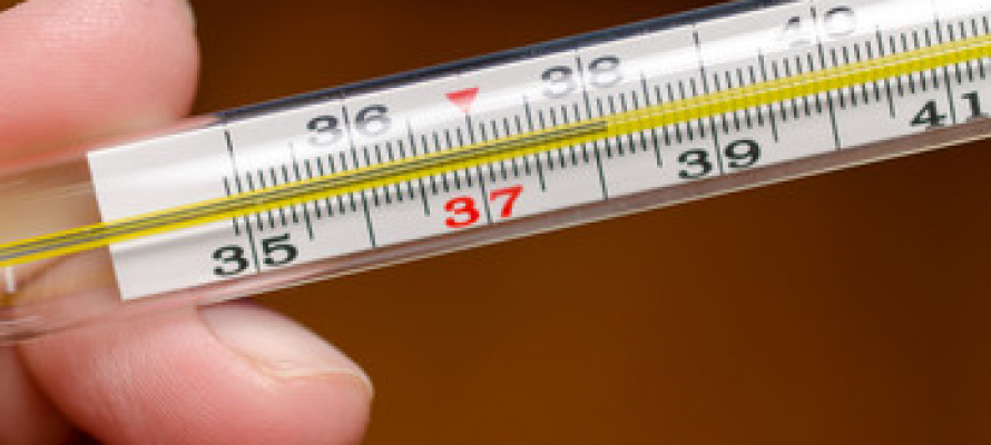 В России распространяется гонконгский грипп A(H3N2)