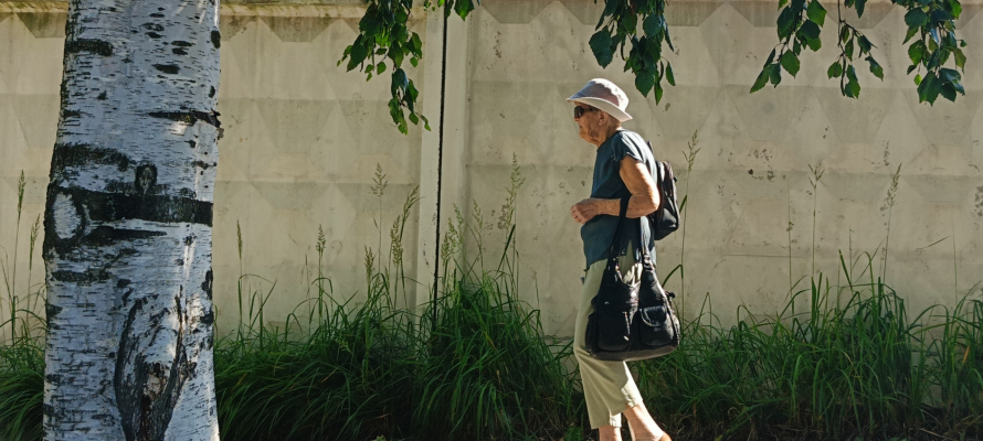 России может грозить новая пенсионная реформа из-за демографического дисбаланса