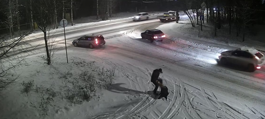 Живодёр ногами и поводком избил собаку в Петрозаводске