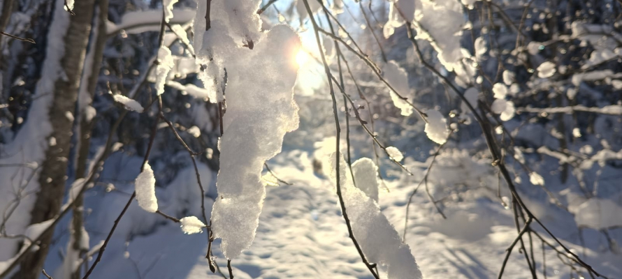 Местами до -16°С: в субботу в Карелию придет настоящая зима